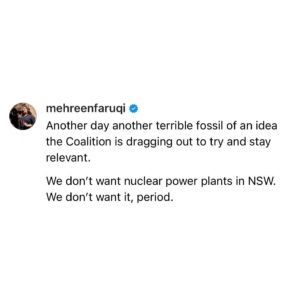 Mehreen Faruqi Instagram - We don’t want nuclear power plants in NSW. We don’t want it, period.