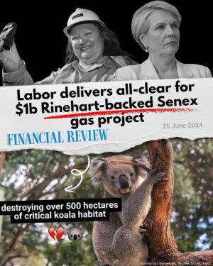 Mehreen Faruqi Instagram - In a climate and extinction crisis, the last thing the Environment Minister should be doing is approving more dirty fossil fuel projects. 

#NoNewCoalandGas