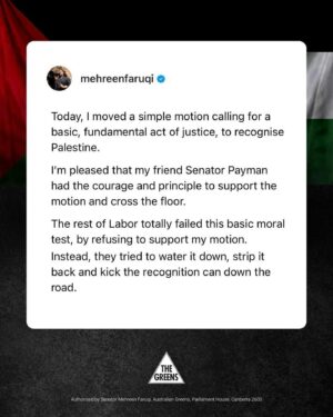 Mehreen Faruqi Instagram - Today, the Greens moved a simple motion calling for a basic, fundamental act of justice, to recognise Palestine.