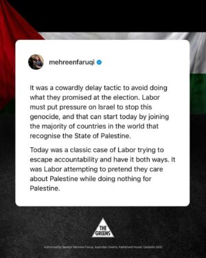 Mehreen Faruqi Instagram - Today, the Greens moved a simple motion calling for a basic, fundamental act of justice, to recognise Palestine.