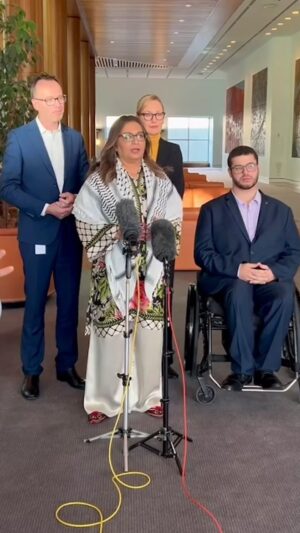 Mehreen Faruqi Instagram - Every vote against the Greens’ motion to recognise Palestinian statehood today will be recorded firmly and permanently on the wrong side of history. 

That’s our message to Labor. It’s well past time for them to take this most basic historical act.