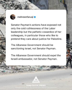 Mehreen Faruqi Instagram - If Labor truly cared for justice for Palestine, then they would vote for it.

The occupation has to end. The apartheid wall must fall. We will keep speaking out for justice for Palestine.