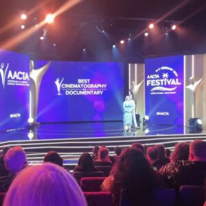 Melina Vidler Instagram - This dress ft. the AACTA Industry Awards 

Stylist: the best @donnygalella 💖
Dress: @manningcartell 💚
Handbag: @olgaberg 💛
Shoes: @ninewest 🧡