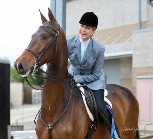 Melissa Moore Instagram - Love Shack Fancy just a 3 yr old and loving her show career as a hunter ❤️ @freedmansharness @saddlebredofficial @usequestrian #saddlebred @melissamoore27 @emmamcaruso