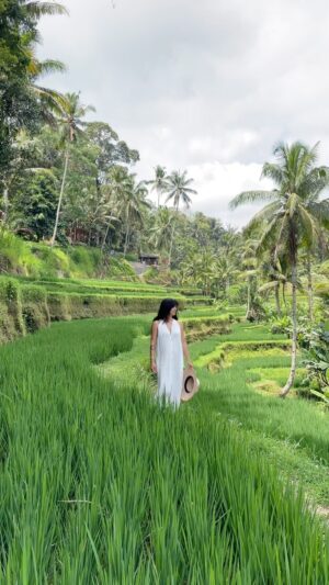 Melissa Paulo Instagram - Tegalalang Rice Terrace, a slice of heaven. 

#bali #tegalalangriceterrace #ubud