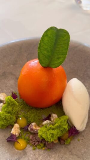 Mellissa Laycy Instagram - A must experience menu at La Colombe in Cape Town. Booked up months in advance in peak season.
Truly stunning 😍

#foraging #homegrown #tastingmenu #michilin #chef #forage #themenu #molleculargastronomy #heston #foodporn #delicious #capetown #wildfood