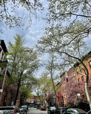 Melody Cheng Instagram - It’s been one month since we moved to the East Coast. Even though there are days when I catch myself still in transition, I can’t help but feel the city’s magic when we’re exploring the different boroughs on the weekends.

I think I’m going to like it here 🌹