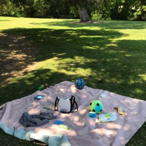 Meredith Monroe Instagram - #thankyou @gathre we absolutely #LOVE our #awesome #maximat in #rouge.  A #challenging morning required a #picnicday & a #nofuss mat to #chill on, eat on, read on & enjoy #nature on. Love the #easy #cleanup, the size & #beauty of this mat! Thanks for helping to #reset our #day! 😘.