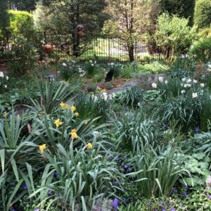 Meredith Vieira Instagram - Springtime has finally arrived. Can you spot my feline Felipe in the flowers?