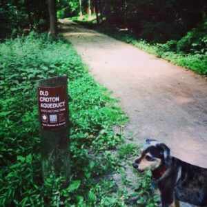 Meredith Vieira Instagram - Took long walk with #Jasper.  New show starts taping Weds.  SERENITY NOW!