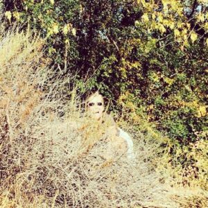 Meredith Vieira Instagram - I like to hike off the beaten path....sometimes I just go too far off the beaten path!