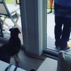Meredith Vieira Instagram - @Jasper_Vieira barking orders as usual at the @ParadeMagazine photo shoot!