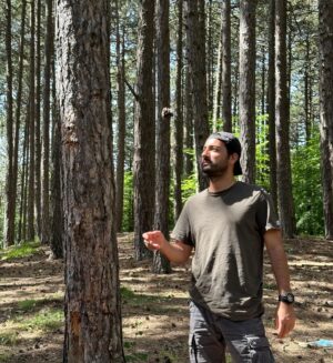 Mert Altınışık Instagram - 🌬️🌲