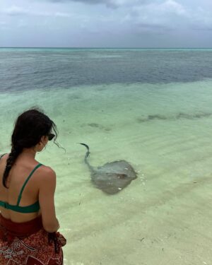 Merve Akkaya Instagram - unleashing my stingray spirit 🤍