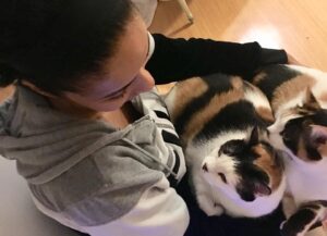 Meta Golding Instagram - On #nationalcatday I wanted to honor my cat, Venus, who passed away a few months ago. She was 13 years old, named after Venus Williams, super cuddly, athletic and always on my lap. The type of cat who would greet guests at the door. She was a fantastic big sister to Sasha and we miss her every day. ❤️❤️🙏🏽🙏🏽🙏🏽😻😻#rip #venus #catsofinstagram