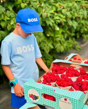 Micael Bindefeld Instagram - Världens Finaste Hallon!!
-
-
Svep för fler 🍓🍓🍓
-
-
Inte så långt från Hultsfred i Småland ligger underbara @axelssonsiaby !!
-
-
Helt fantastisk självplock av både hallon och jordgubbar!
Deras hallon är enorma! Stora, vackra och supersöta!
-
-
På gården finns också en fantastisk gårdsbutik och ett mysigt fik!!
Missa inte denna guldgruva!
-
-
#självplock #självplockjordgubbar #hallon #storaaby #axelsonsiaby
