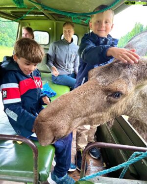 Micael Bindefeld Instagram - Kissed by a Moose!!
-
-
Pls swipe for some real fun picts of more 🫎🫎🫎
-
-
We’re in love with the Moose Safari at @virumalgpark !!
It created a totally unique way to actually “meet” some amazing moose and their calves. 
-
-
The staff is attentive, knowledgeable and super kind!
-
This is a “must” for both kids and parents!
-
We had a blast despite the rain. And our kids will never forget Oscar, Hugin, Mumin, Fritt, Saga or any of the other moose!
Oscar became an instant favorite!
-
-
Thank you @virumalgpark for giving us these amazing memories!
No. This is not a sponsored ad!
We’ve paid our entrance fees just like everyone else!
-
-
#virumälgpark #moosesafari #älg #älgsafari #virum #sommarlov #småland