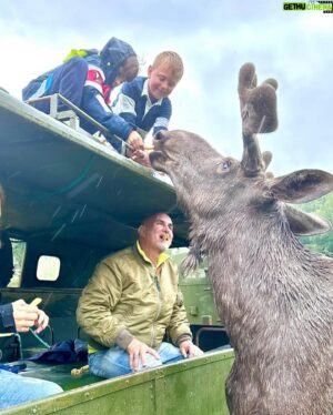 Micael Bindefeld Instagram - Kissed by a Moose!!
-
-
Pls swipe for some real fun picts of more 🫎🫎🫎
-
-
We’re in love with the Moose Safari at @virumalgpark !!
It created a totally unique way to actually “meet” some amazing moose and their calves. 
-
-
The staff is attentive, knowledgeable and super kind!
-
This is a “must” for both kids and parents!
-
We had a blast despite the rain. And our kids will never forget Oscar, Hugin, Mumin, Fritt, Saga or any of the other moose!
Oscar became an instant favorite!
-
-
Thank you @virumalgpark for giving us these amazing memories!
No. This is not a sponsored ad!
We’ve paid our entrance fees just like everyone else!
-
-
#virumälgpark #moosesafari #älg #älgsafari #virum #sommarlov #småland
