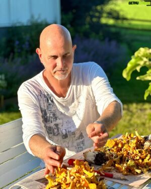 Micael Bindefeld Instagram - Svamprensning…!!
-
-
Svep för fler bilder och videos…🧡🍄‍🟫🧡
-
-
Wow. Drygt tio liter rensade kantareller och några karljohansvampar rensade Mimo och jag på en dryg timma!!
-
-
Mysigt att sitta tillsammans och rensa svamp i vacker solnedgång på gräsmattan på gården i Lönneberga!
-
-
Har ni hittat någon svamp ännu..?
-
-
Hur er rensar du svampen..? Några tips..?
-
-
#svampplockning #svamprensningpågår #pappaochson #fatherandson #chantarelle #kantareller #kantarelleröverallt #svampskog #lönneberga