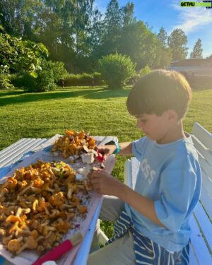 Micael Bindefeld Instagram - Svamprensning…!!
-
-
Svep för fler bilder och videos…🧡🍄‍🟫🧡
-
-
Wow. Drygt tio liter rensade kantareller och några karljohansvampar rensade Mimo och jag på en dryg timma!!
-
-
Mysigt att sitta tillsammans och rensa svamp i vacker solnedgång på gräsmattan på gården i Lönneberga!
-
-
Har ni hittat någon svamp ännu..?
-
-
Hur er rensar du svampen..? Några tips..?
-
-
#svampplockning #svamprensningpågår #pappaochson #fatherandson #chantarelle #kantareller #kantarelleröverallt #svampskog #lönneberga