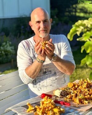 Micael Bindefeld Instagram - Svamprensning…!!
-
-
Svep för fler bilder och videos…🧡🍄‍🟫🧡
-
-
Wow. Drygt tio liter rensade kantareller och några karljohansvampar rensade Mimo och jag på en dryg timma!!
-
-
Mysigt att sitta tillsammans och rensa svamp i vacker solnedgång på gräsmattan på gården i Lönneberga!
-
-
Har ni hittat någon svamp ännu..?
-
-
Hur er rensar du svampen..? Några tips..?
-
-
#svampplockning #svamprensningpågår #pappaochson #fatherandson #chantarelle #kantareller #kantarelleröverallt #svampskog #lönneberga
