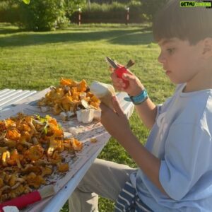 Micael Bindefeld Instagram - Svamprensning…!!
-
-
Svep för fler bilder och videos…🧡🍄‍🟫🧡
-
-
Wow. Drygt tio liter rensade kantareller och några karljohansvampar rensade Mimo och jag på en dryg timma!!
-
-
Mysigt att sitta tillsammans och rensa svamp i vacker solnedgång på gräsmattan på gården i Lönneberga!
-
-
Har ni hittat någon svamp ännu..?
-
-
Hur er rensar du svampen..? Några tips..?
-
-
#svampplockning #svamprensningpågår #pappaochson #fatherandson #chantarelle #kantareller #kantarelleröverallt #svampskog #lönneberga
