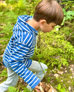 Micael Bindefeld Instagram - Svampplockarna!!
-
-
Svep för fler bilder och videos av skogens guld…!
-
-
Vår familj älskar skogen! Nästan all skog men allra mest vår egen skog i Lönneberga. 
-
-
Nicklas och jag har våra absoluta favoritställen där vi alltid hittat mycket svamp. Nu har även Mimo hittat helt nya ställen som är hans favoriter. 
-
-
Igår plockade vi massor av kantareller. Och några få men otroligt fina karljohansvampar!
Drygt 10 liter färdigrensade kantareller…!!
Flest och störst kantareller hittade Mimo såklart. Han kan nästa lukta sig fram till de bästa och hemligaste ställena.
-
-
Har ni plockat någon svamp ännu…?
-
-
#kantarell #kantarelleröverallt #kantareller #mushroompicking #svampplockning #svampskogen #lönneberga