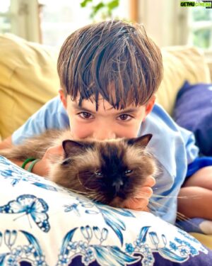 Micael Bindefeld Instagram - Breakfasting With Mimo & Caesar!
-
-
Pls swipe for 🧑🏻😻
-
-
They’re literally always together! And Mimo almost refuses to have breakfast unless Caesar in seated next to him….
-
-
This is true and unconditional love! A boy and his kitty. 
Having breakfast together on the lovely veranda at our farmhouse in Lönneberga!
Homemade warm scones!! And lots of fresh berries!
-
-
#aboyandhiscat #caesar #ragdollkitten #ragdoll #verandabreakfast #breakfast #farmhouseliving #farmhousestyle #livetpålandet #lönneberga 
-
-
Blue and white pillows from the collection “House of Aspvik” designed by me for @fyrklovern_sverige 
This is not a paid ad or colab!