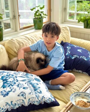 Micael Bindefeld Instagram - Breakfasting With Mimo & Caesar!
-
-
Pls swipe for 🧑🏻😻
-
-
They’re literally always together! And Mimo almost refuses to have breakfast unless Caesar in seated next to him….
-
-
This is true and unconditional love! A boy and his kitty. 
Having breakfast together on the lovely veranda at our farmhouse in Lönneberga!
Homemade warm scones!! And lots of fresh berries!
-
-
#aboyandhiscat #caesar #ragdollkitten #ragdoll #verandabreakfast #breakfast #farmhouseliving #farmhousestyle #livetpålandet #lönneberga 
-
-
Blue and white pillows from the collection “House of Aspvik” designed by me for @fyrklovern_sverige 
This is not a paid ad or colab!