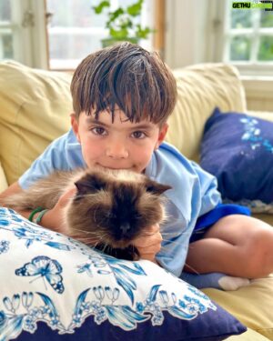 Micael Bindefeld Instagram - Breakfasting With Mimo & Caesar!
-
-
Pls swipe for 🧑🏻😻
-
-
They’re literally always together! And Mimo almost refuses to have breakfast unless Caesar in seated next to him….
-
-
This is true and unconditional love! A boy and his kitty. 
Having breakfast together on the lovely veranda at our farmhouse in Lönneberga!
Homemade warm scones!! And lots of fresh berries!
-
-
#aboyandhiscat #caesar #ragdollkitten #ragdoll #verandabreakfast #breakfast #farmhouseliving #farmhousestyle #livetpålandet #lönneberga 
-
-
Blue and white pillows from the collection “House of Aspvik” designed by me for @fyrklovern_sverige 
This is not a paid ad or colab!