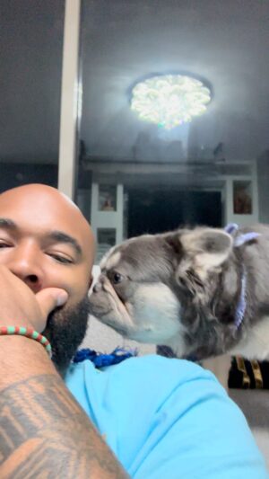 Michael Anthony Instagram - LATE NIGHT TREAT SHAKEDOWN BY @pablo_escobark____