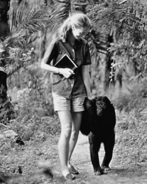Michael Bloomberg Instagram - Our planet is better off thanks to the groundbreaking work of @JaneGoodallInst and the people she’s inspired over with her incredible life and career — including many of us at @Bloomberg and @BloombergDotOrg. Wishing her a happy 90th birthday today.

📸: @gettyimages