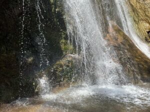 Michael D. Cohen Instagram - Southern California has waterfalls and wildflowers and waterfalls and wildflowers! #escondidofalls #20milesfromhome