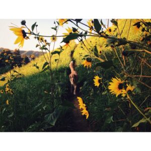Michael Dante DiMartino Instagram - Flowery Truman #VSCOcam