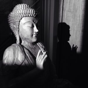 Michael Dante DiMartino Instagram - Have a peaceful weekend everyone. #VSCOcam