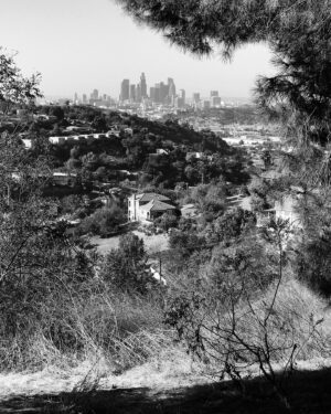 Michael Dante DiMartino Instagram - View of downtown LA. Got out of the house for a beautiful hike the other day. Air is finally clear and the weather is cool. Stay safe out there everyone.

#losangeles #blackandwhitephotography #landscapephotography