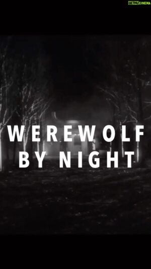 Michael Giacchino Instagram - Go see Werewolf By Night: Live to Picture on October 4th with the amazing @minnorch performing.
#werewolfbynight #concert