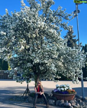 Michael Monroe Instagram - Kiitos @viherlassila 🌳🌳🌳🌸🌸