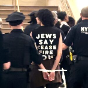 Michael Moore Instagram - Standing shoulder to shoulder with our Jewish brothers and sisters who are screaming NOT IN OUR NAME! Last night, thousands of Jewish New Yorkers and their allies held a massive civil disobedience sit-in at Grand Central Station demanding an immediate ceasefire. #LetGazaLive Jewish Voice for Peace @jvpny says the sit-in was the largest act of civil disobedience in New York City in nearly two decades. It was moving and inspiring. Let us all join together for peace.  #CeaseFireNow