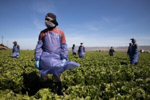 Michael Peña Instagram - My parents were farmers. Their parents were farmers. Thank you to those who work through this pandemic. It can’t be easy.