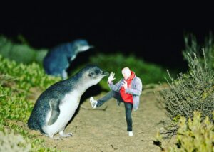 Michael Rooker Instagram - The time I was in Australia and was accosted by a group of unruly penguins. I ended up having to fall back on my knowledge of empty hand technique To defend myself.