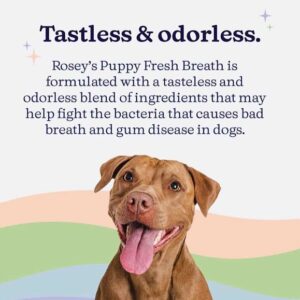 Michael Rosenbaum Instagram - I have a brand new product for your doggie’s breath .
 ‘Rosey’s Puppy Fresh Breath’ 🐶 

Just add a capful to your dog’s water. It’s odorless and tasteless so your dog won’t even know they are getting fresher breath but you will😉

Get your pooches breath smelling good in time for the holidays 🤩

Link in bio (available through Amazon) 

#holidayessentials #puppybreath #dogbreath #doghealthtips #freshbreath #holidaymusthave