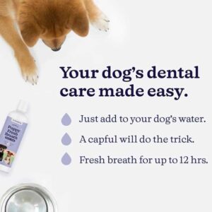 Michael Rosenbaum Instagram - I have a brand new product for your doggie’s breath .
 ‘Rosey’s Puppy Fresh Breath’ 🐶 

Just add a capful to your dog’s water. It’s odorless and tasteless so your dog won’t even know they are getting fresher breath but you will😉

Get your pooches breath smelling good in time for the holidays 🤩

Link in bio (available through Amazon) 

#holidayessentials #puppybreath #dogbreath #doghealthtips #freshbreath #holidaymusthave