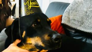 Michael Rosenbaum Instagram - Happy healthy New Year to all of you. I wish nothing but the best for everyone. Love more this year will ya? #happynewyear #2024 #love #peace  #80smusic
