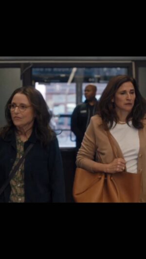 Michaela Watkins Instagram - A dream come true with this writer director @nicole_holofcener this mega talent of superstar cool foxy lady @officialjld and the remarkable acting of @arianmoayed and #tobiasmenzies @youhurtmyfeelings 
In theaters May 26th. @a24 @likelystoryfilms #indiefilm #happiness #dremscometrue #joy