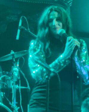Michaela Watkins Instagram - Shameless pics happening here. I’m still reeling from the greatest time getting to sing with #middleagedadband @madjamband @davidwain @kenmarino and the whole damn band just BROUGHT it including David’s kiddo Henry on sax. @mrjordankatz and @joelotruglio and @nadiaquinn and #FrankBarrera #jonspurney #sweetteddyP @thomaspatricklennon @kerrikenneysilver @alfredyankovic 

…bracing for the depression now.