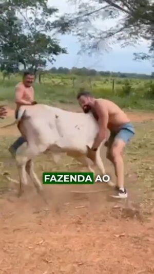 Michel Pereira Instagram - Aos poucos vocês vão conhecendo o nome de cada golpe esse e esse è o BEZERRINHA MIX!