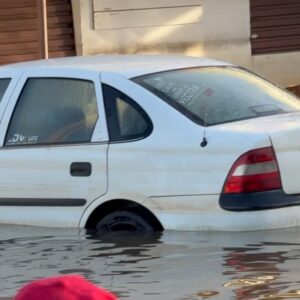 Michel Pereira Instagram - Quarta-feira… mais um dia de batalha por aqui. Hoje foram mais de 25 animais salvos dessa imensidão de água. 

As cenas que tô vendo é de cortar o coração até do mais bruto como eu, mas sigo firme no meu propósito de ajudar aqueles que mais precisam. 

Somos um povo só. Somos BRASILEIROS 🇧🇷

🇺🇸 Wednesday... another day of battle around here. Today there were more than 15 animals saved from this immensity of water.

The scenes I’m seeing are heartbreaking even the roughest like me, but I follow my purpose of helping those who need it most.

We are one people. We are Brazilians 🇧🇷