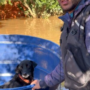 Michel Pereira Instagram - Quarta-feira… mais um dia de batalha por aqui. Hoje foram mais de 25 animais salvos dessa imensidão de água. 

As cenas que tô vendo é de cortar o coração até do mais bruto como eu, mas sigo firme no meu propósito de ajudar aqueles que mais precisam. 

Somos um povo só. Somos BRASILEIROS 🇧🇷

🇺🇸 Wednesday... another day of battle around here. Today there were more than 15 animals saved from this immensity of water.

The scenes I’m seeing are heartbreaking even the roughest like me, but I follow my purpose of helping those who need it most.

We are one people. We are Brazilians 🇧🇷