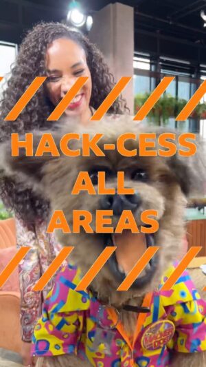 Michelle Ackerley Instagram - Y’alright Cockers!! It’s “HACK-CESS ALL AREAS” @bbcmorninglive #bbcmorninglive #hackertdog #etc